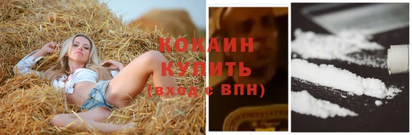 амф Алексеевка