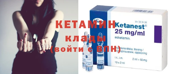 индика Алексин