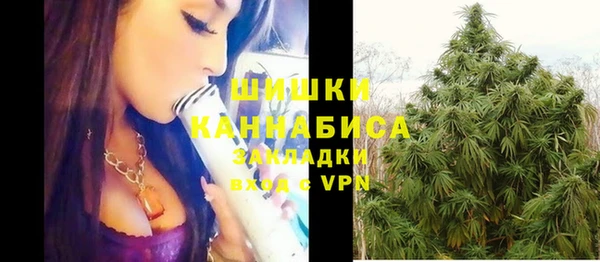 ешки Вязьма