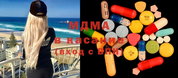 индика Алексин
