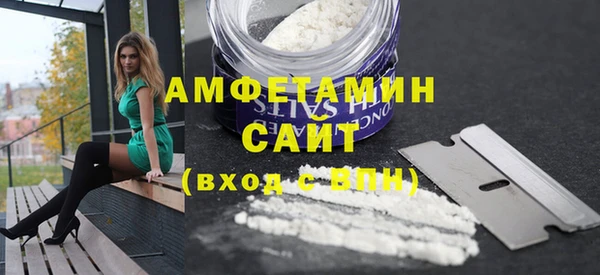 индика Алексин