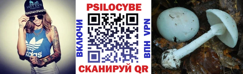 наркота Тара Псилоцибиновые грибы ЛСД